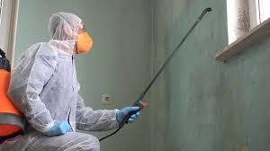 Professional Mold Removal & Remediation in Kittery Point, ME