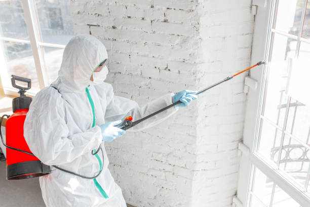 Mold Remediation for Rental Properties in Kittery Point, ME